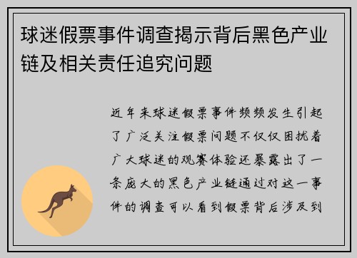 球迷假票事件调查揭示背后黑色产业链及相关责任追究问题 球迷假票事件调查揭示背后黑色产业链及相关责任追究问题